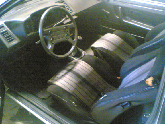 Foto(187)_neu.jpg