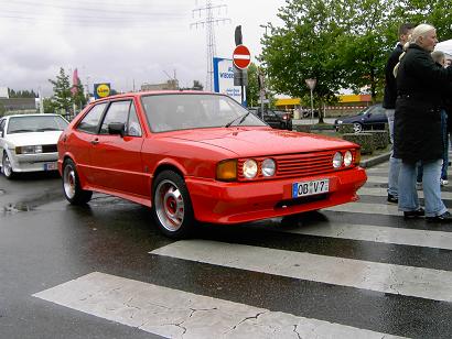 rocco7.JPG
