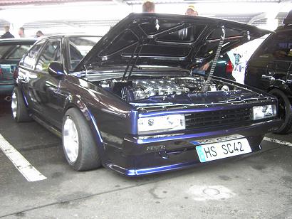 rocco9.JPG