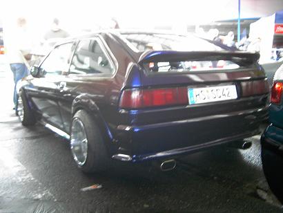 rocco10.JPG