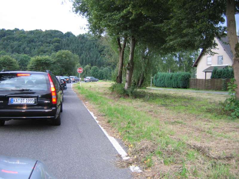 Alle unterwegs 1.jpg