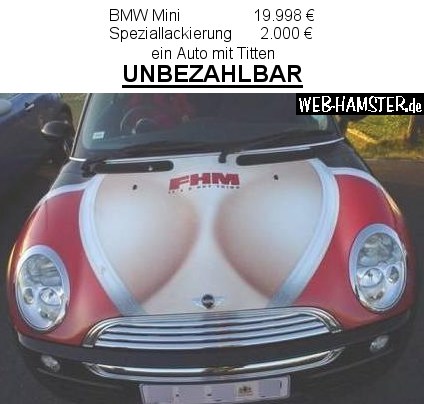 mini unbezahlbar.jpg
