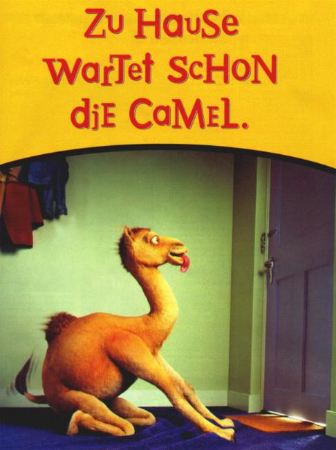 Zu Hause wartet schon die Camel.JPG