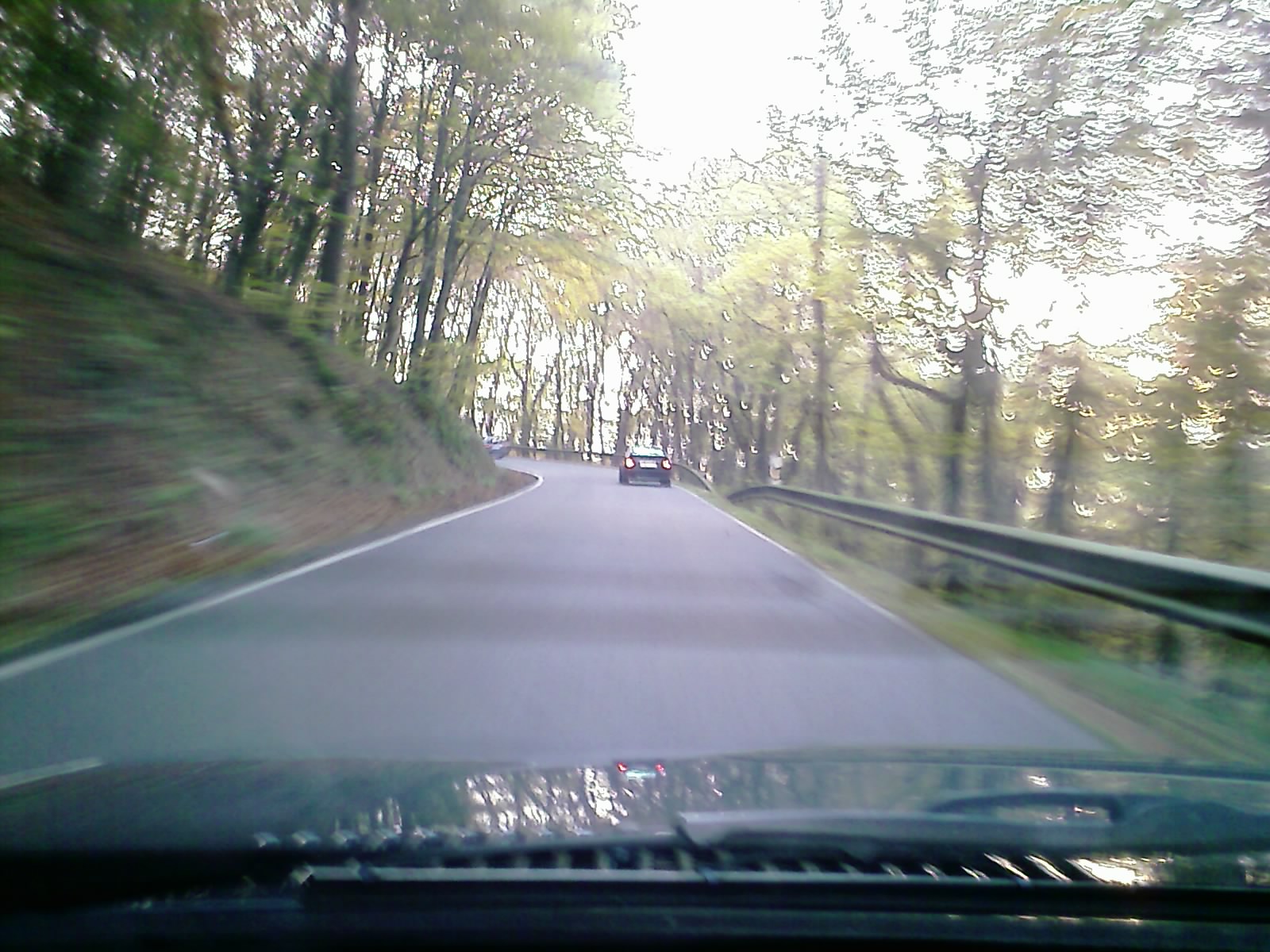 IMAGE_008.jpg