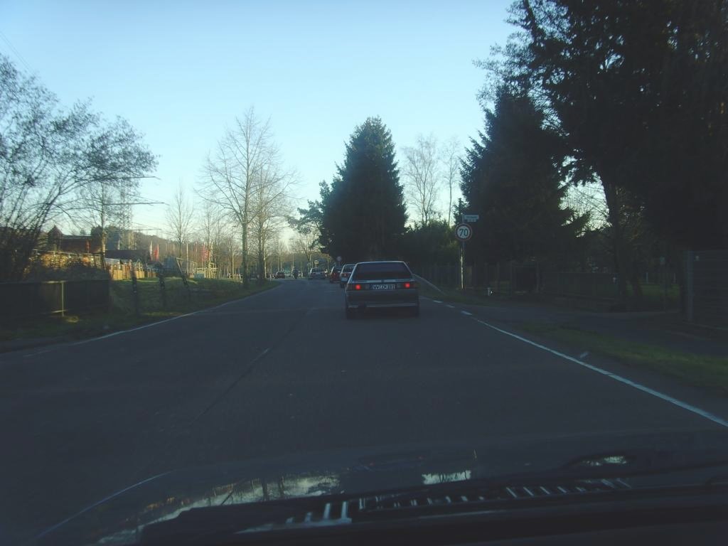 SNV31021.JPG