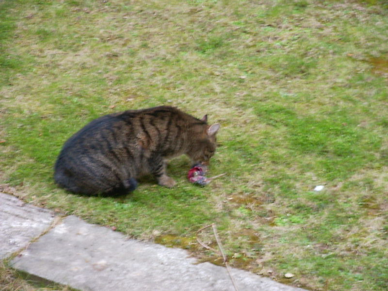 Bild 029.jpg