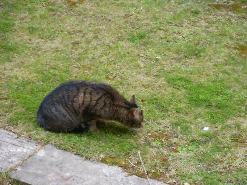 Bild 028.jpg