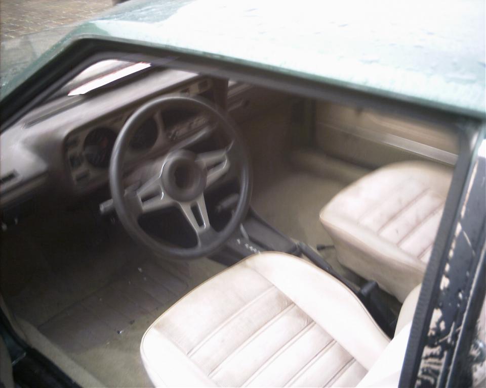 AAAA0216.jpg