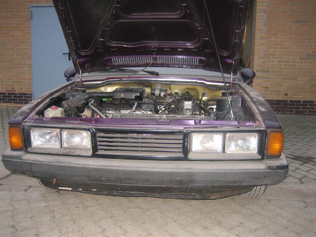 IMG_2989 (Large).jpg