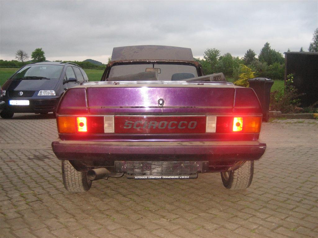 IMG_2992 (Large).jpg