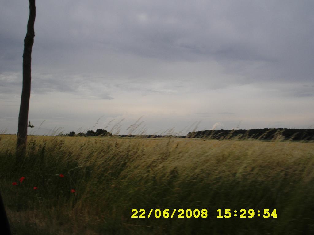 53400720.jpg