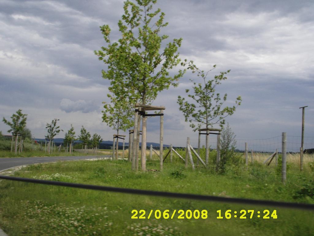 53400738.jpg