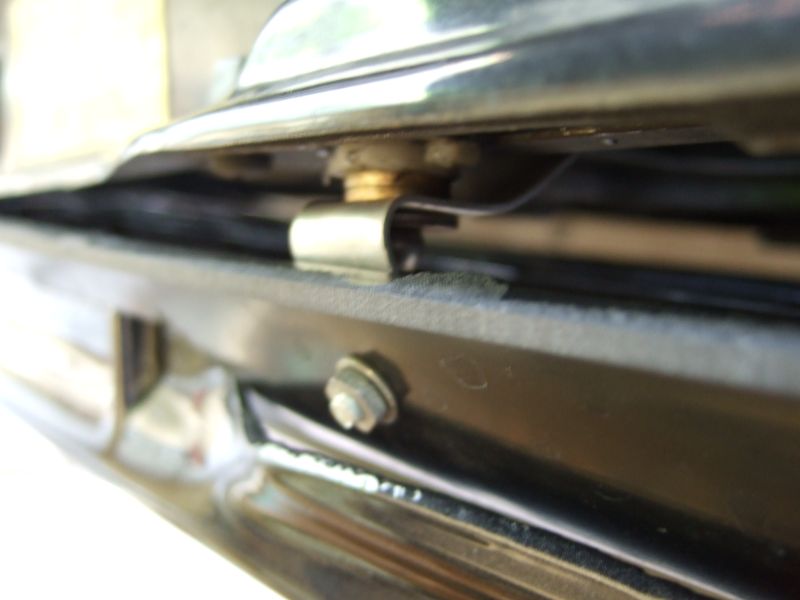 Ende Juni 08 001.jpg