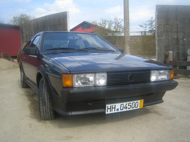 rocco 004.jpg