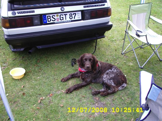 Foto 012.jpg