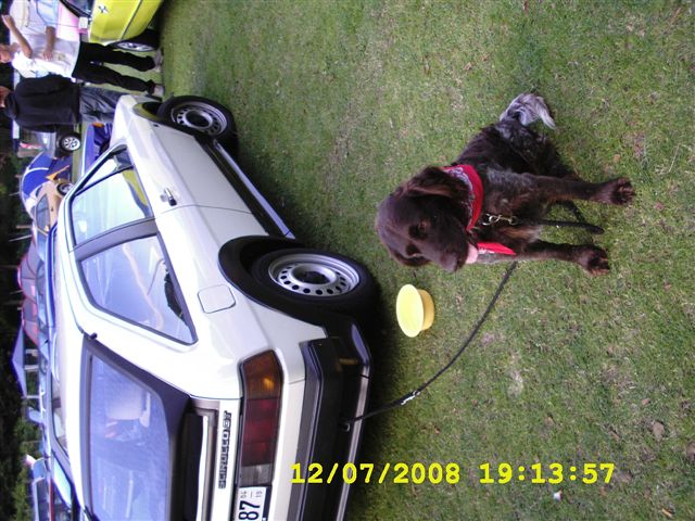 Foto 046.jpg