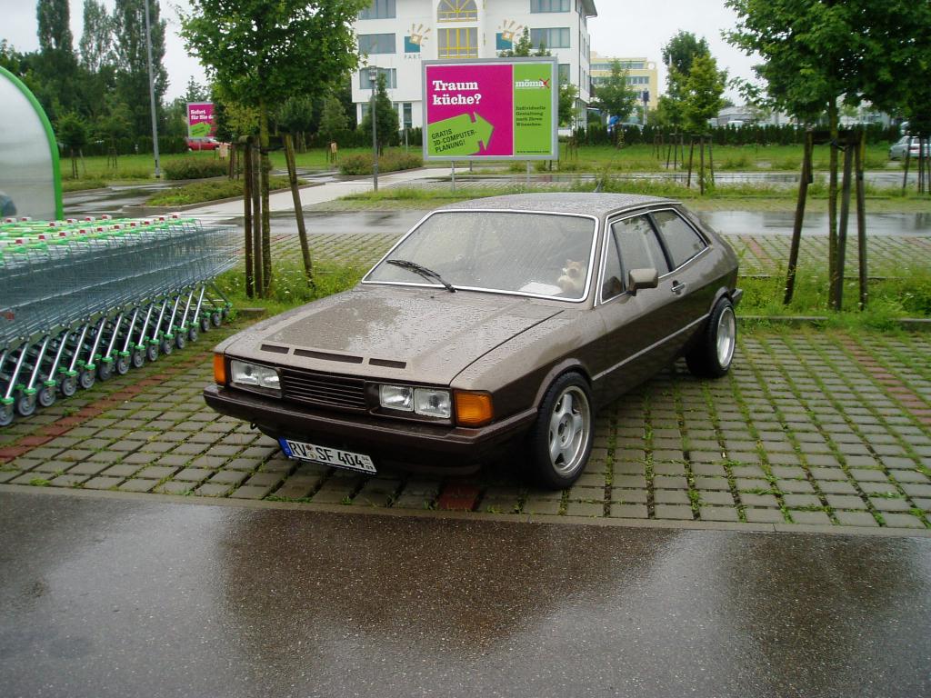 P1010194.jpg