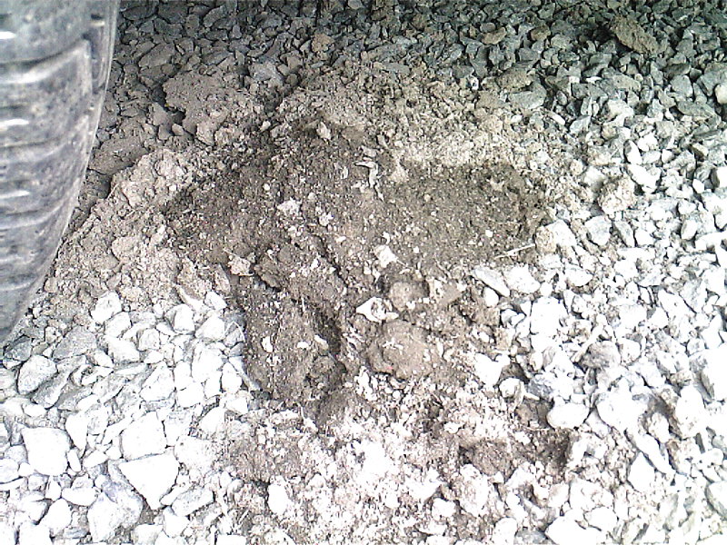 Büld-0017.jpg