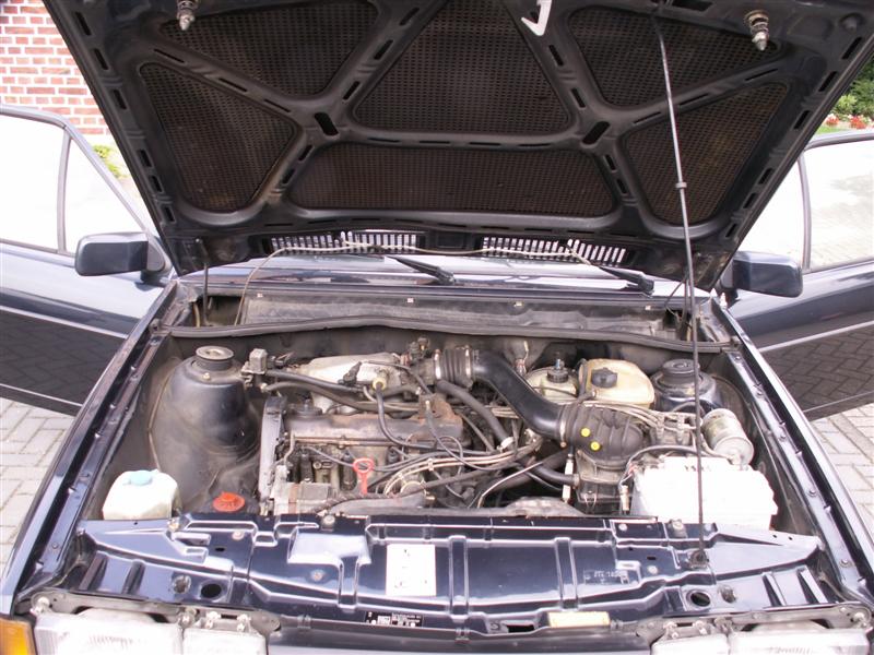 PICT0019 (Medium).JPG