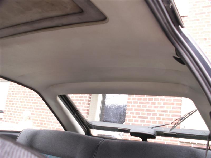 PICT0017 (Medium).JPG