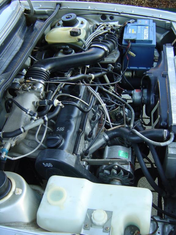 Silber_roccos 019.jpg