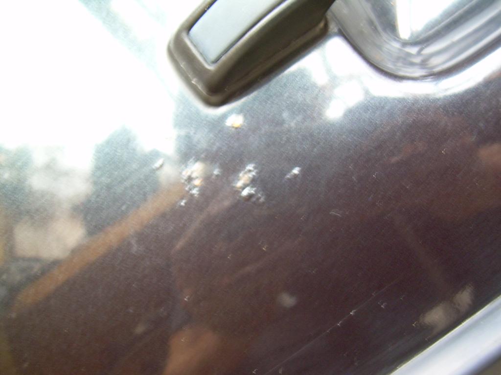 DSCN1950.jpg