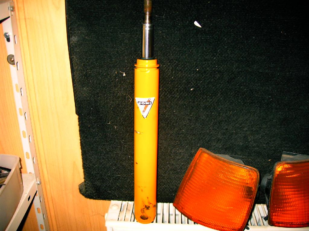 konserviert im Federbein.jpg