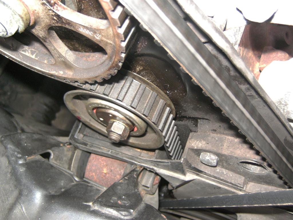 BILD0769 (Large).JPG