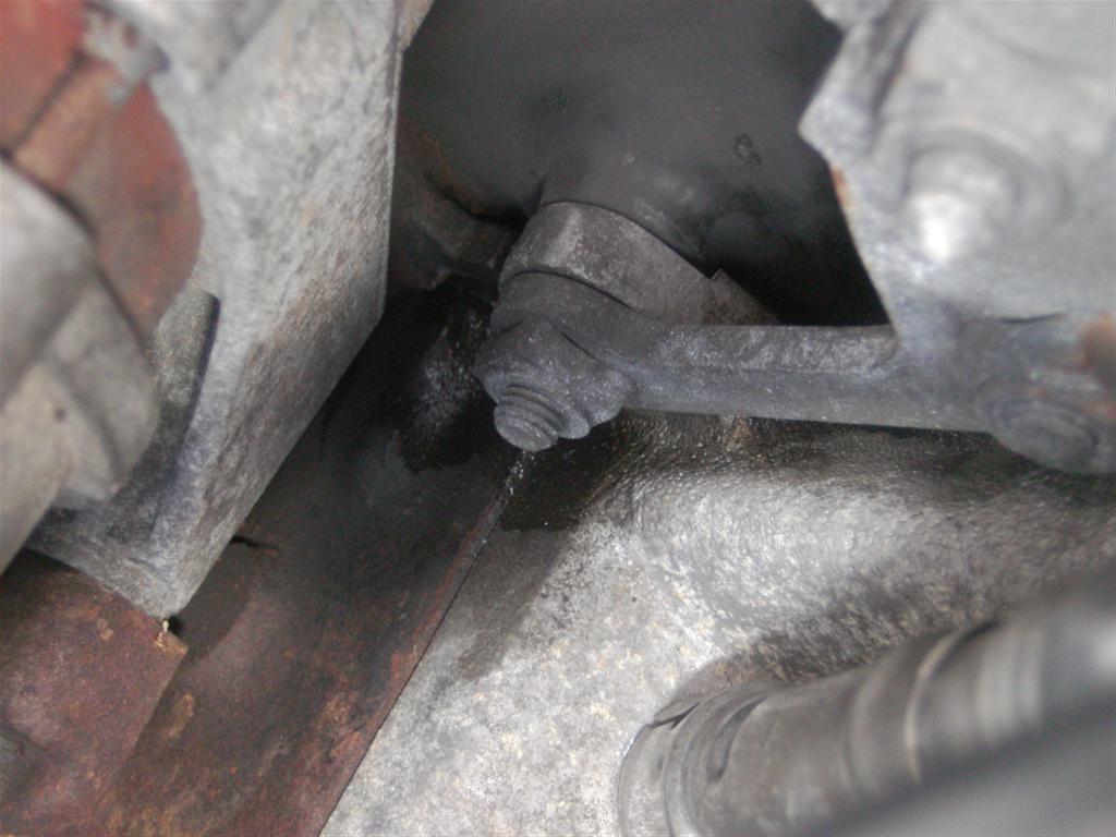 BILD0771 (Large).JPG