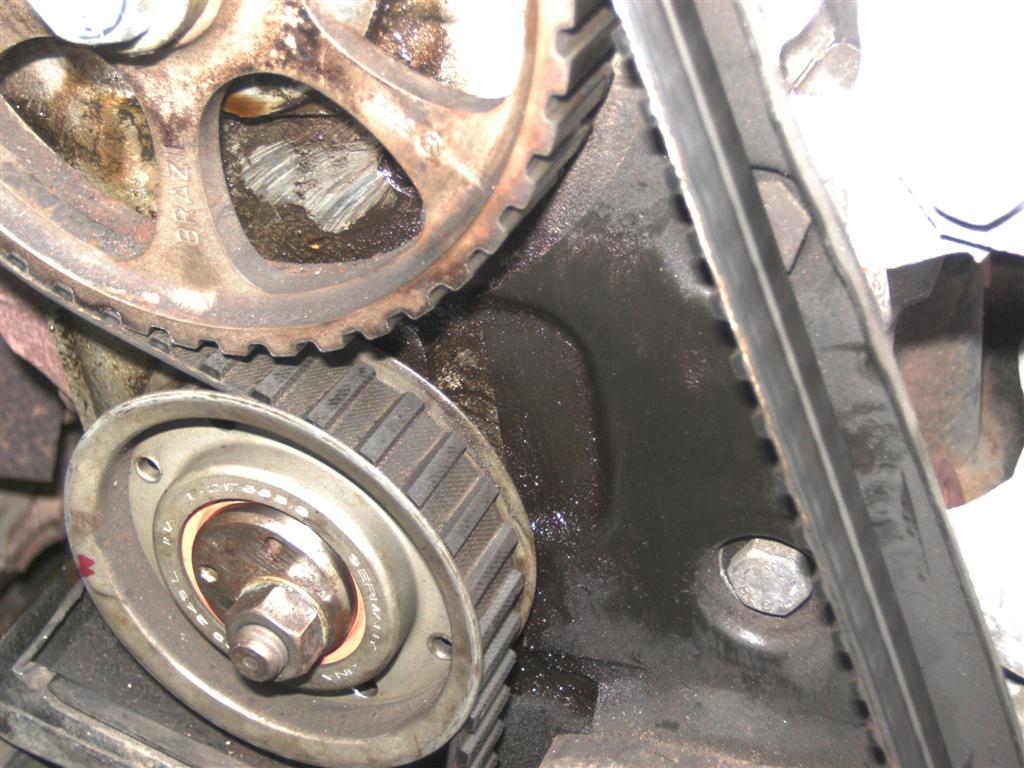 BILD0773 (Large).JPG