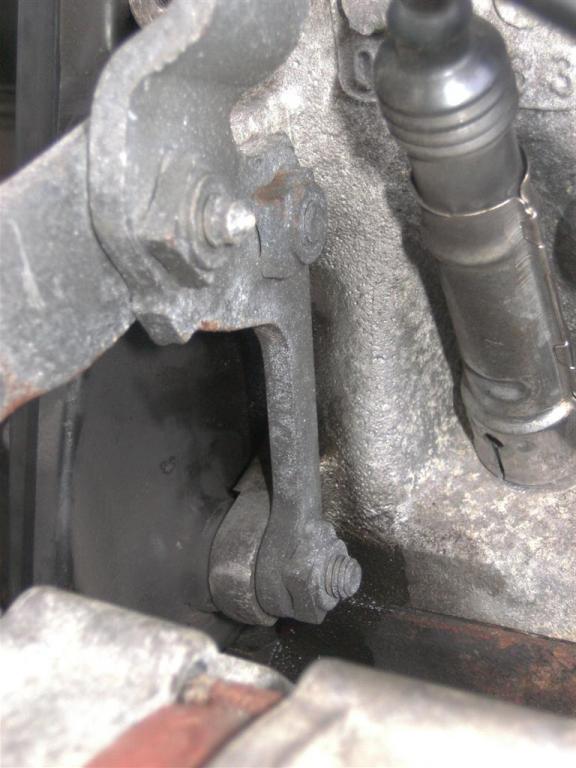 BILD0774 (Large).jpg