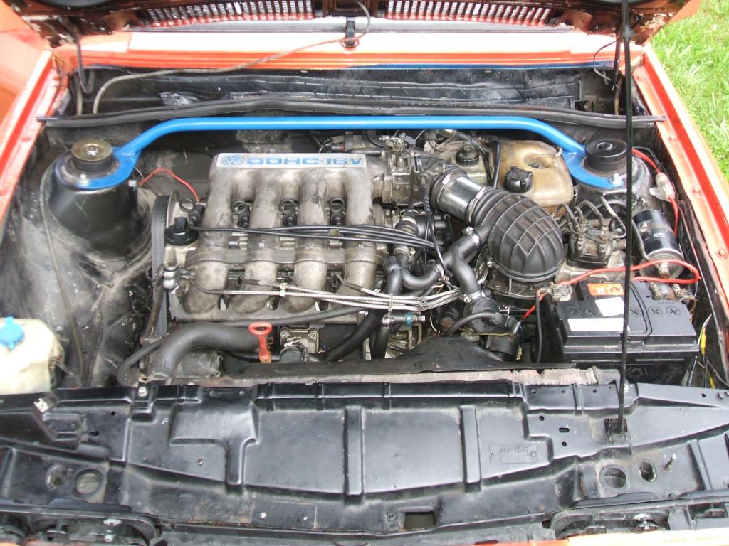 Scirocco Baby (18).jpg