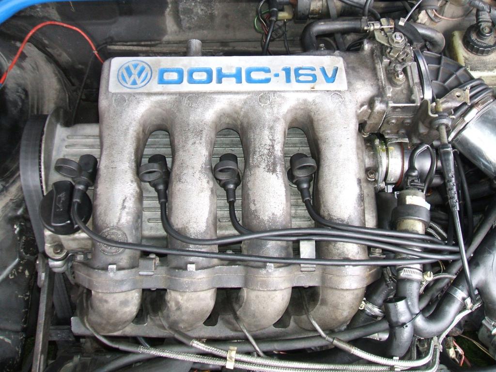 Scirocco Baby (19).jpg