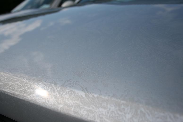 VW_Treffen_2008 332.jpg