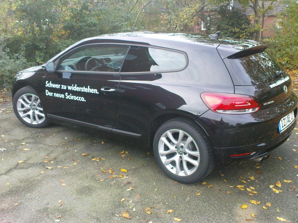 mein rocco 052.jpg