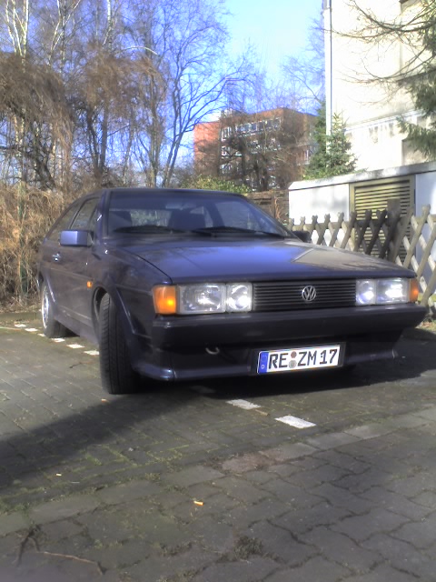 10-02-08_1143.jpg