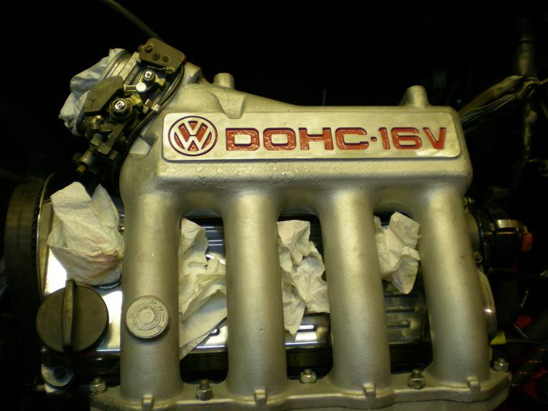 garten, buchholz 07 002.jpg