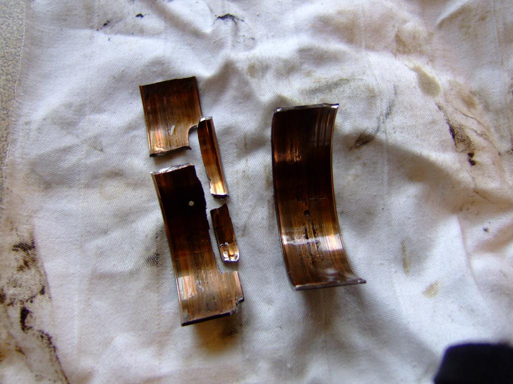 DSCF6419.jpg
