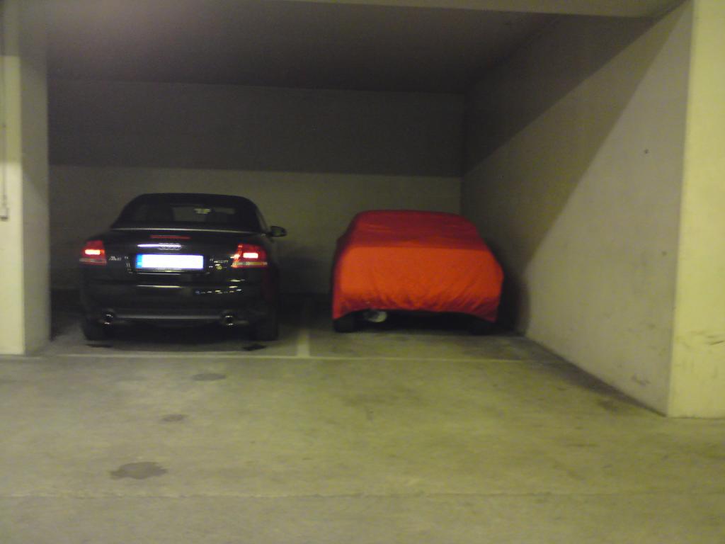 GLi02.jpg