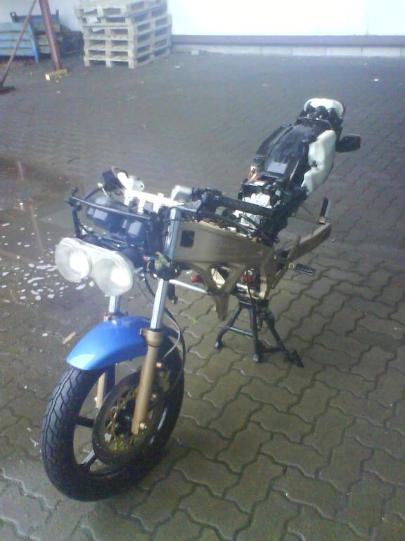 DSC01446.jpg