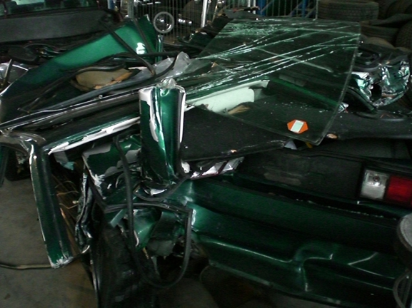 CIMG0842-2.jpg
