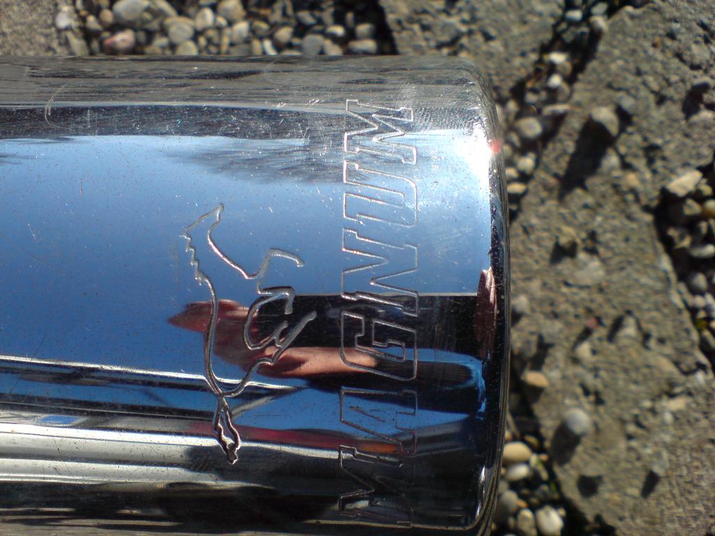 DSC01087.jpg