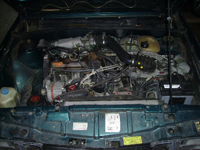 PICT1222neu.JPG