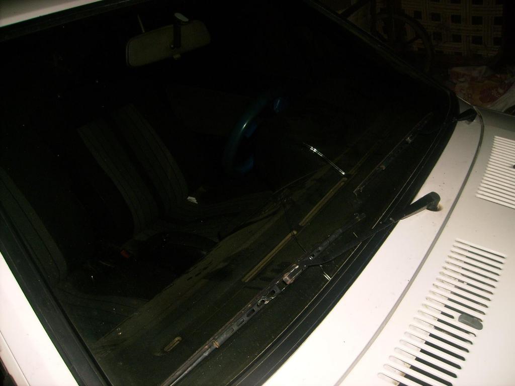IMG_01611.jpg