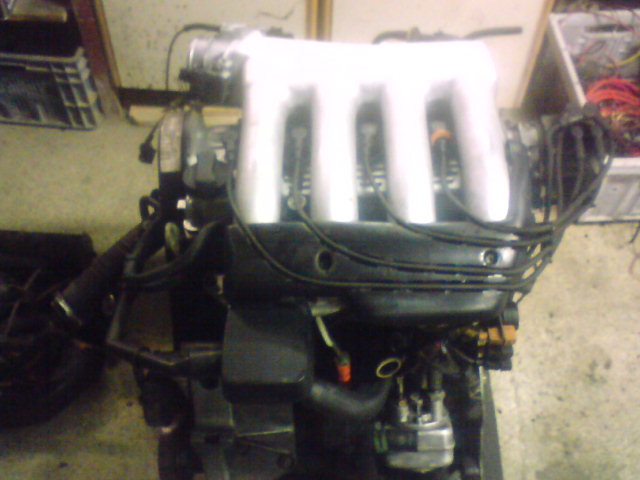 DSC00002.JPG