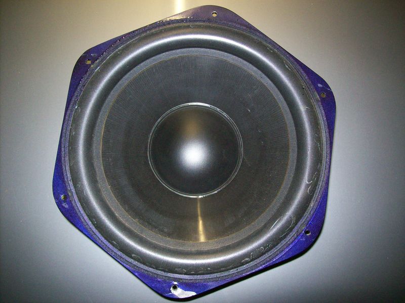 090331 005.jpg
