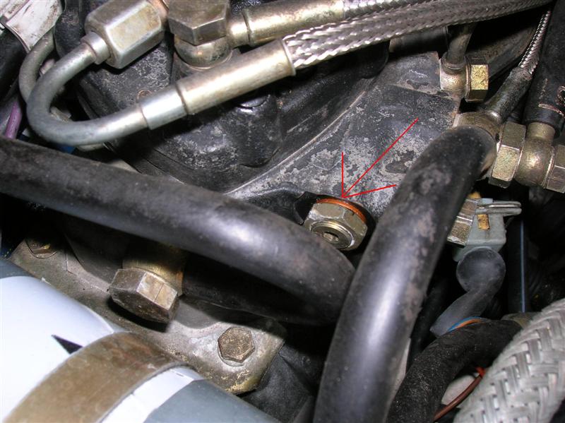 DSCN1902 (Medium).JPG