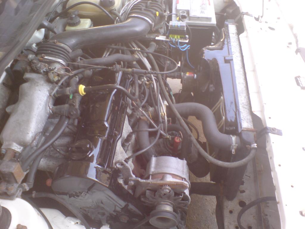 DSC00620.jpg