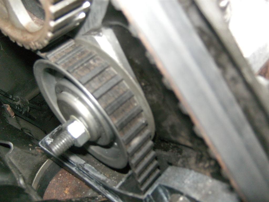 BILD0061 (Large).JPG