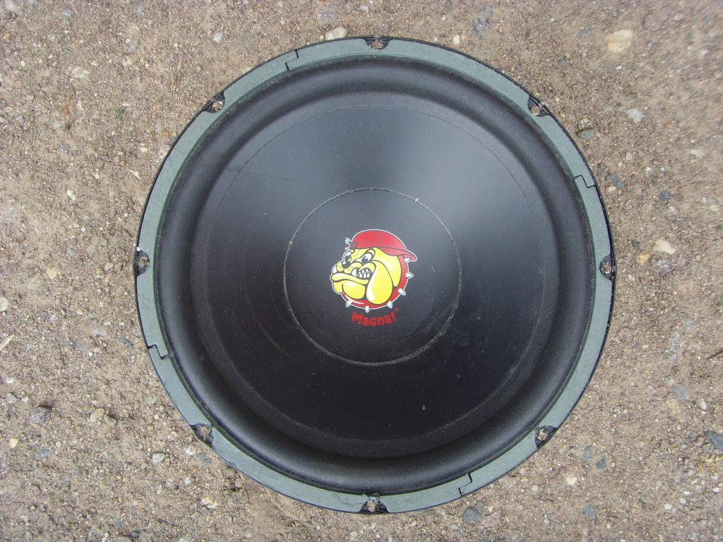 SNV38422.jpg